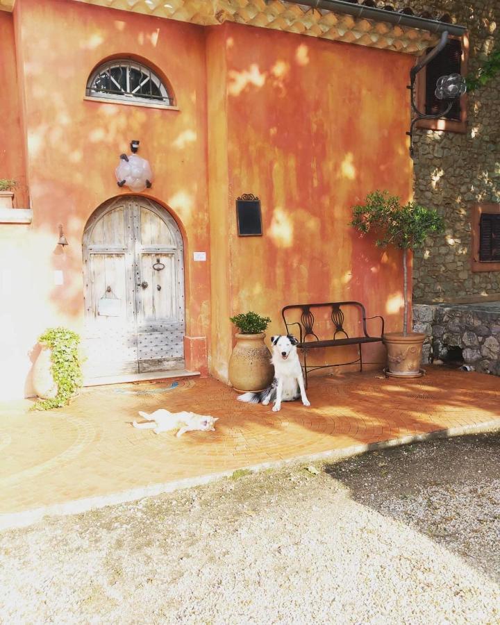 Domaine De Sainte Annette Bed & Breakfast Callian  Exterior photo